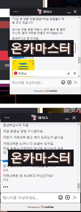 먹튀사이트 돼지카지노 채팅내역