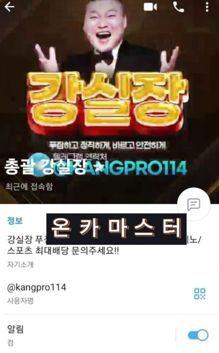 고구려카지노 강실장 텔레그램 아이디