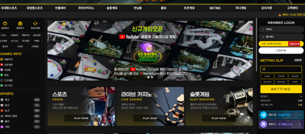 먹튀사이트 도그카지노 홈페이지 메인화면