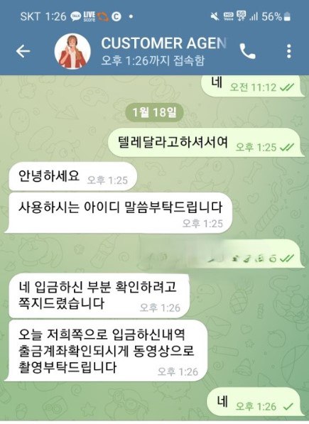 캡카지노 텔레그램 고객센터 대화내용