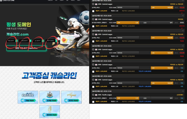 캐슬카지노 먹튀자료1