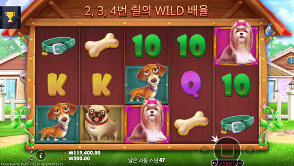 온라인 슬롯 도그하우스 기본게임 200원배팅