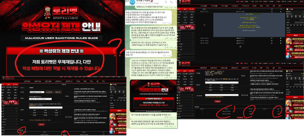 토리벳 먹튀자료2