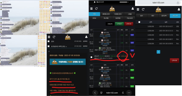 토브리 먹튀자료1