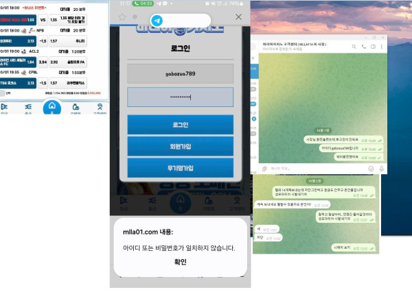 마리아카지노 먹튀자료