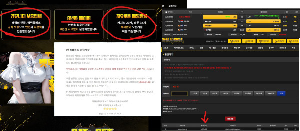 벳투벳 광고내용