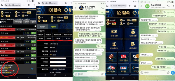 접속카지노 먹튀자료1