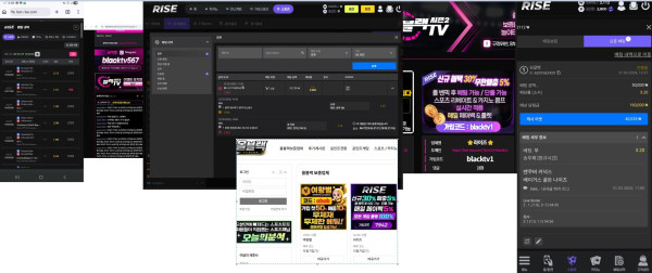 벳라이즈 먹튀자료