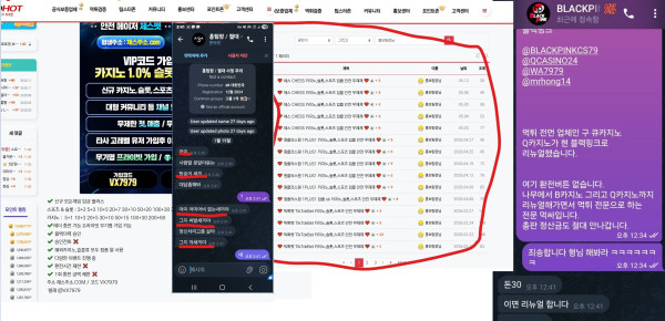 체스카지노 먹튀자료3