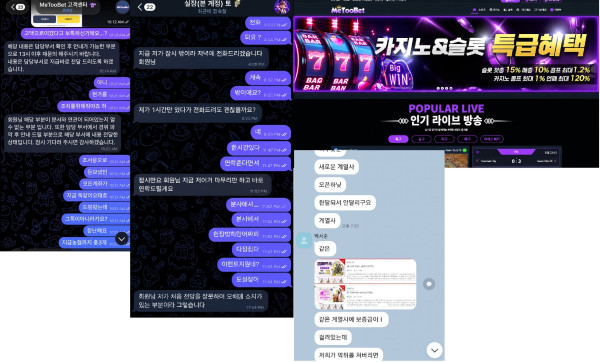 미투벳 먹튀자료