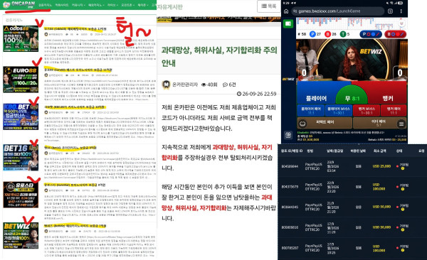 벳위즈 먹튀자료2