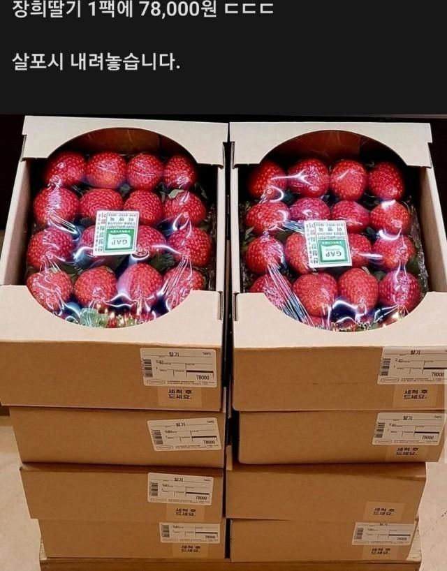 17028900745127.webp