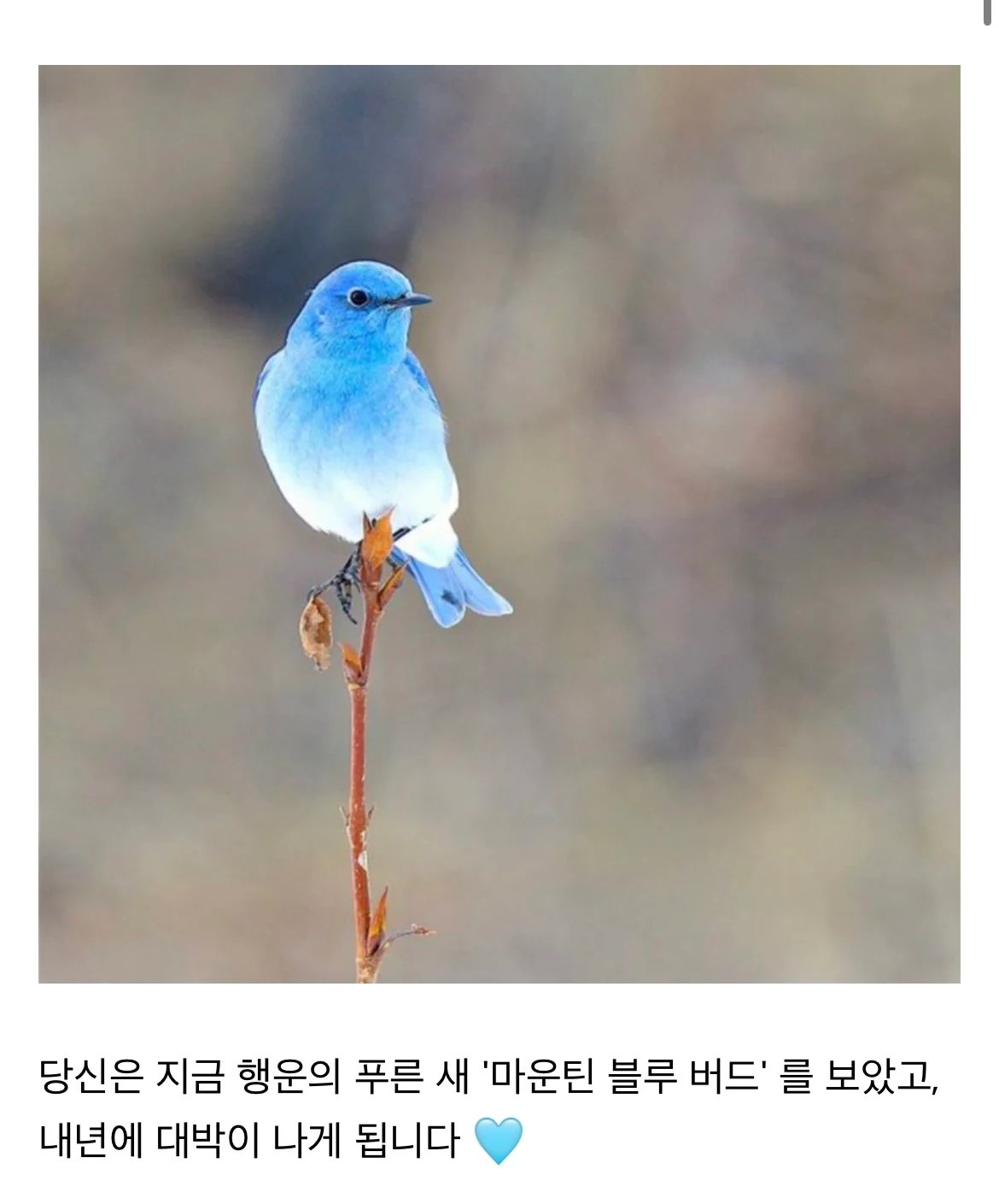 17033796739358.webp