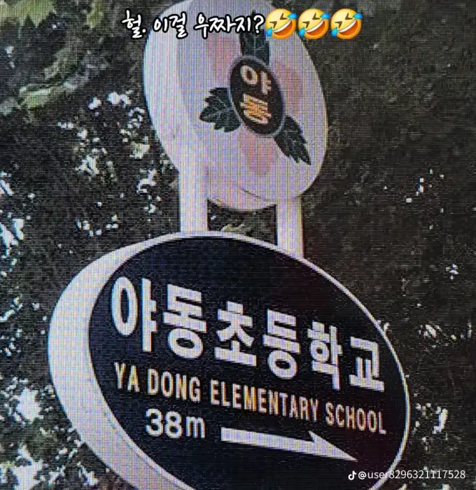 17461584837053.webp