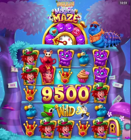 17576892552864.jpg