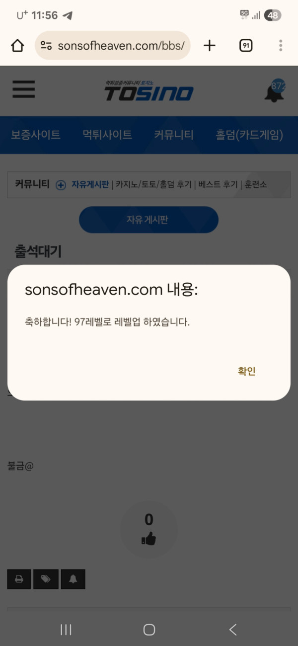 17510382333917.jpg