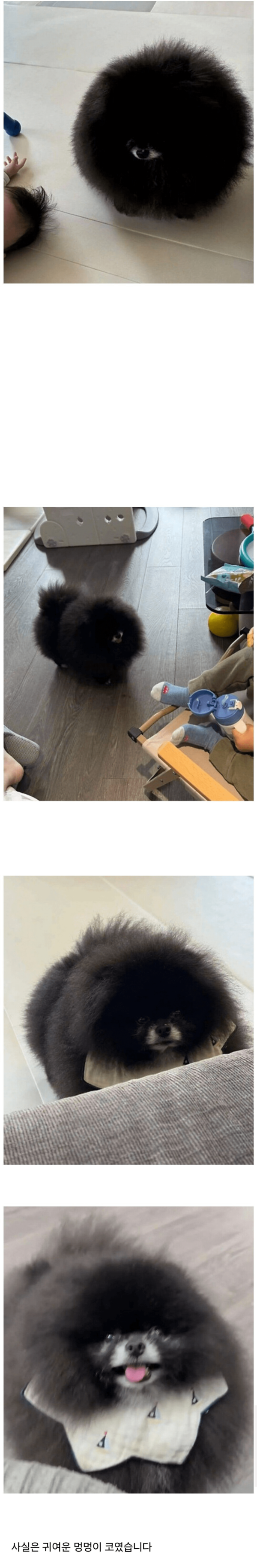 17532576479312.png