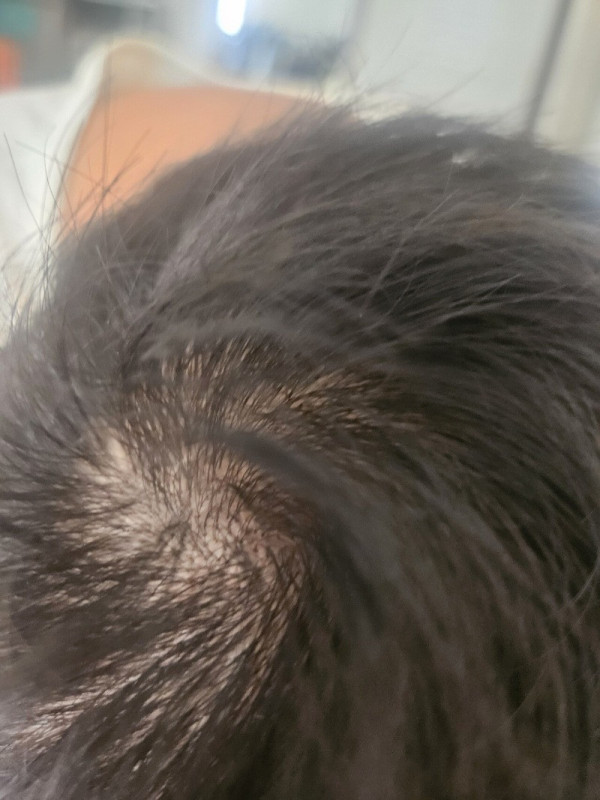 17543124817874.jpg