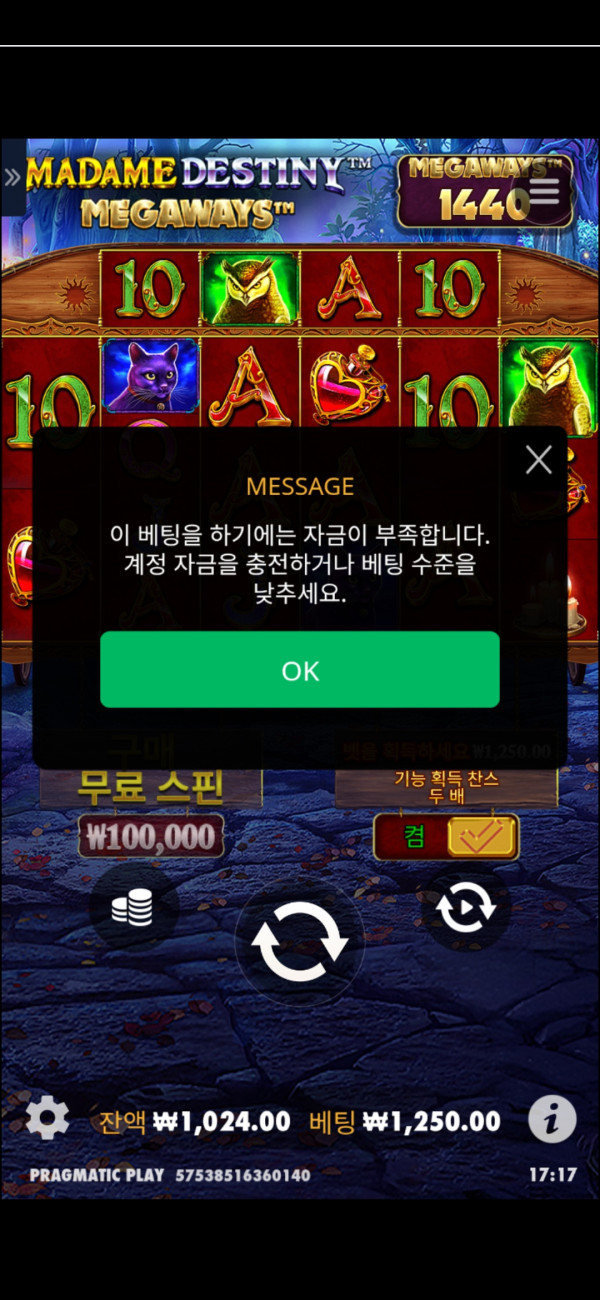 17504154769654.jpg