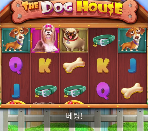 1751113853556.jpg
