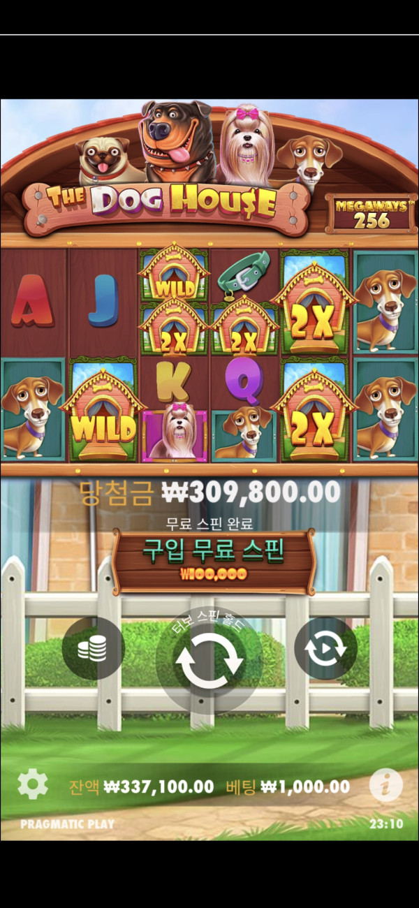 17512938603126.jpg