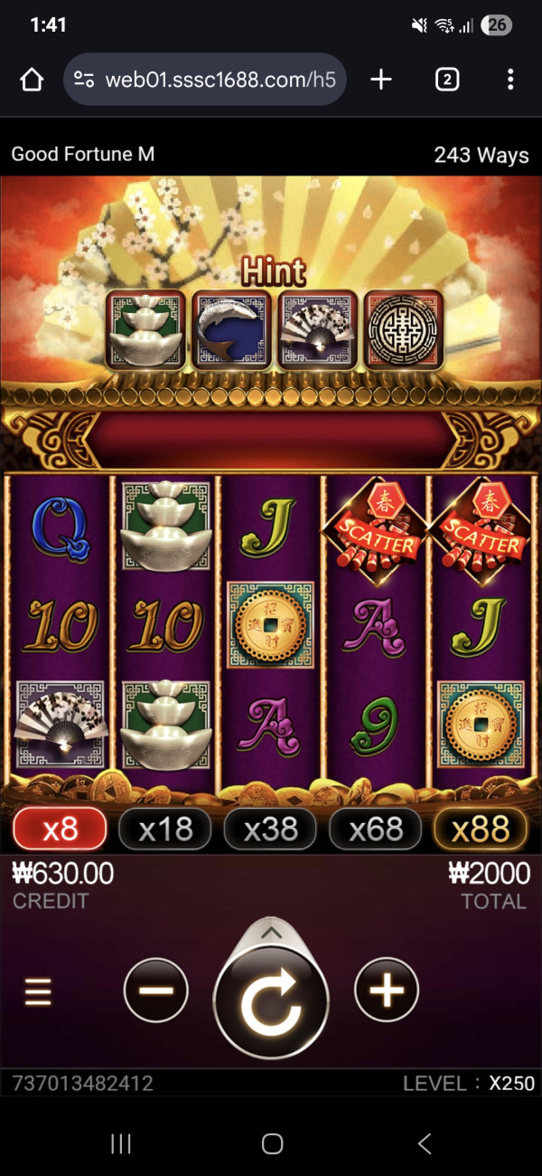 17513460542293.jpg
